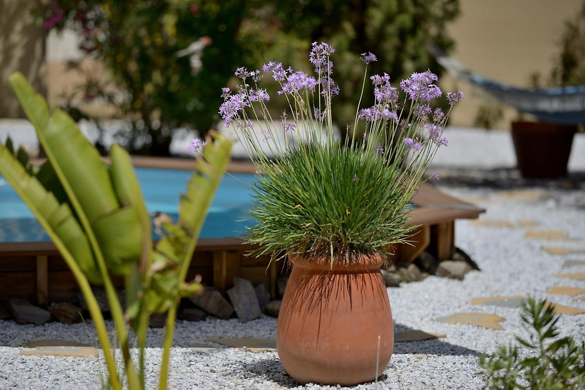 Luxe tent Darjas Yurtas El Morisco Benajarafe